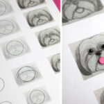 Pencil sketch of a Shih Tzu puppy face used as reference for cake pops