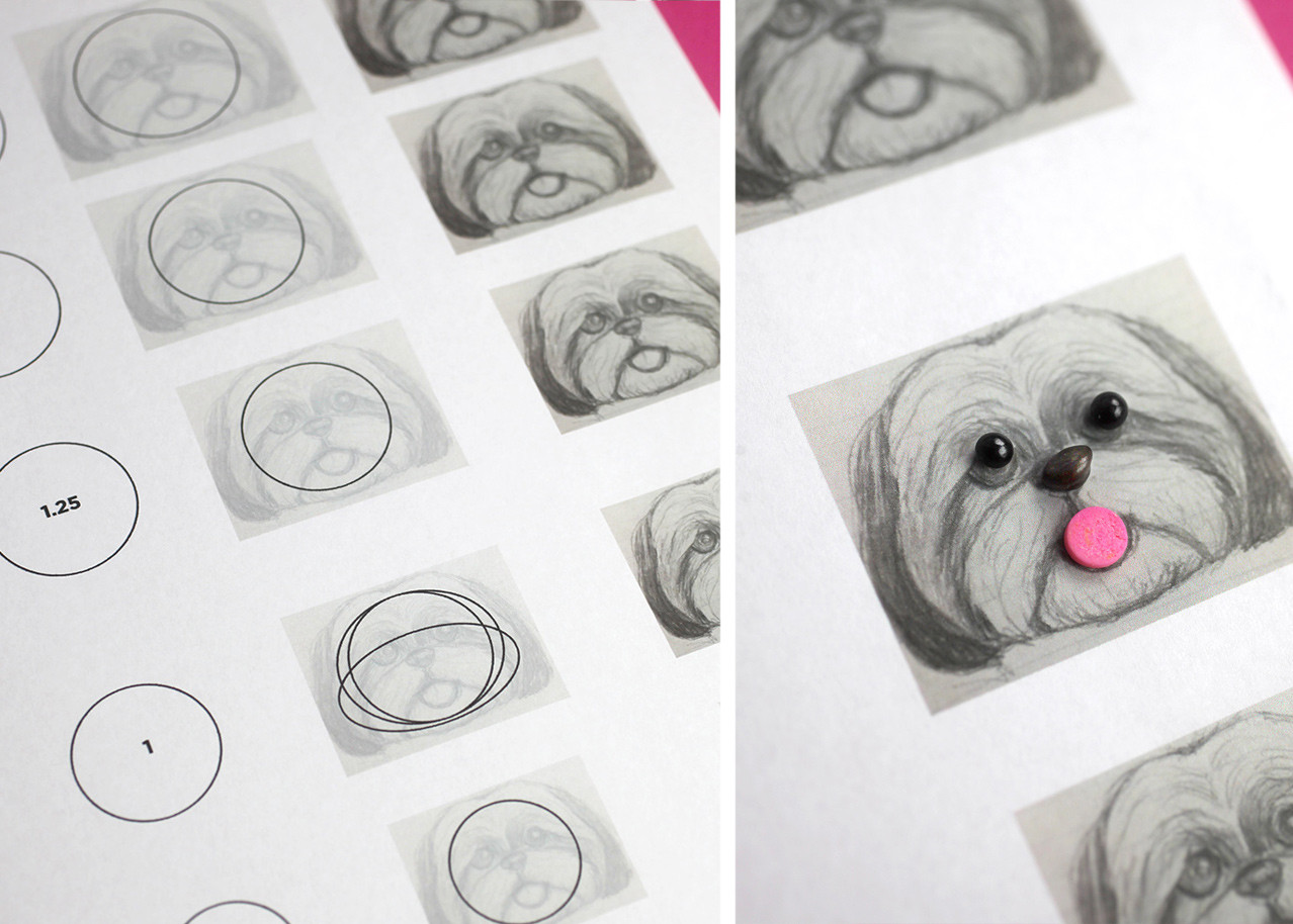 Pencil sketch of a Shih Tzu puppy face used as reference for cake pops