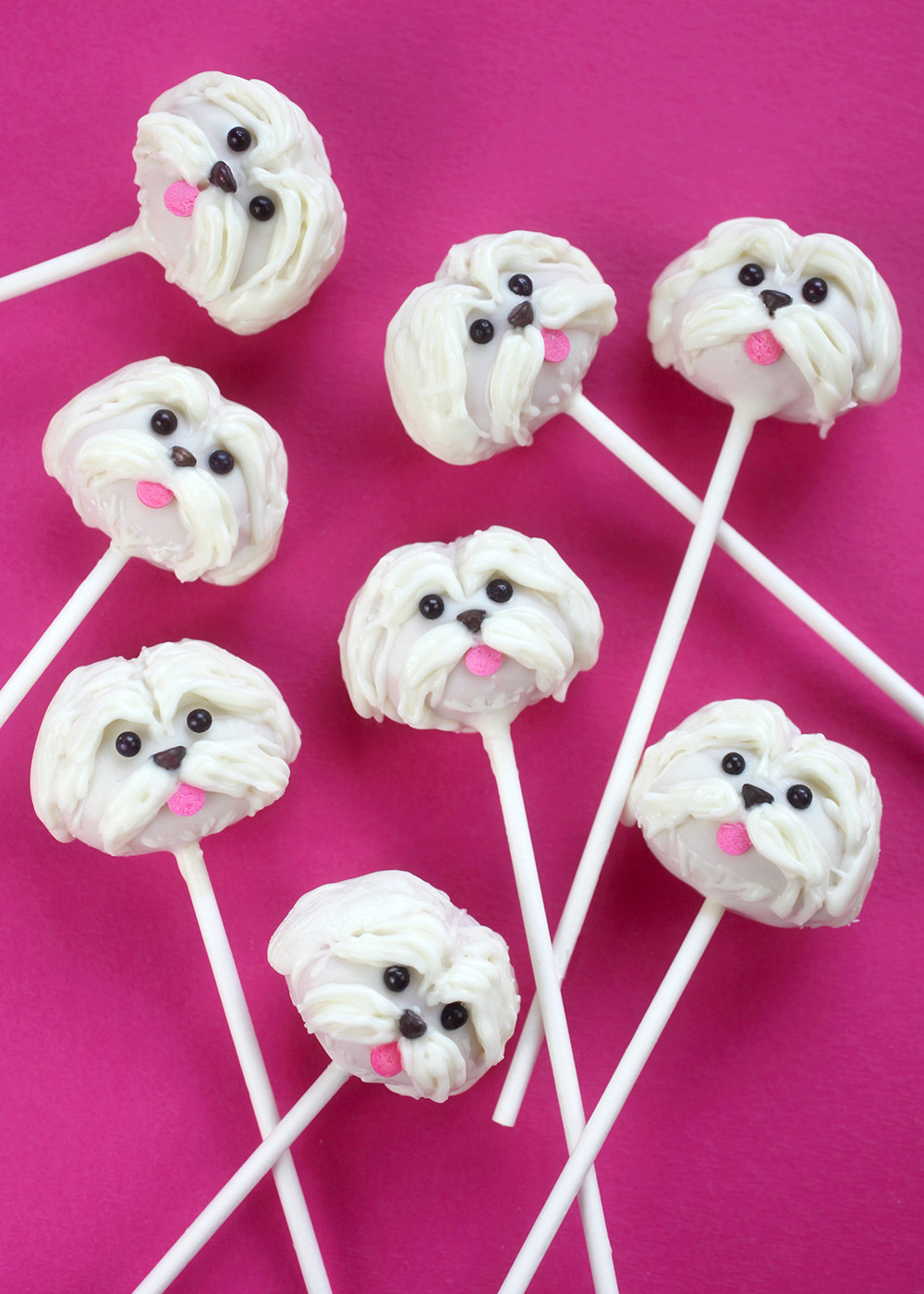 Shih Tzu cake pops with facial features drawn on with candy coating