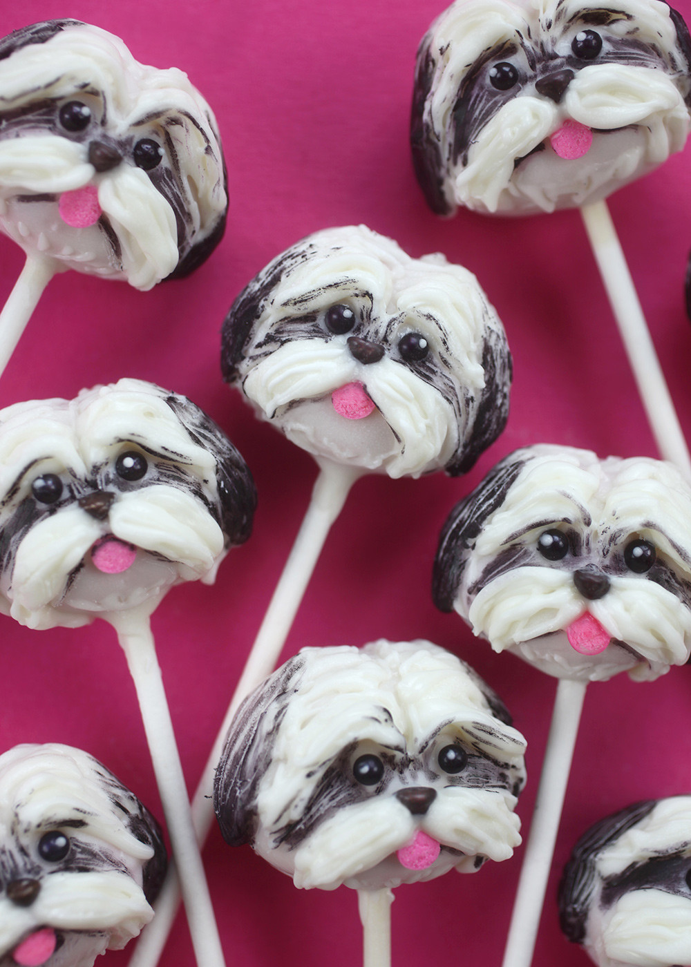 Finished Shih Tzu cake pops