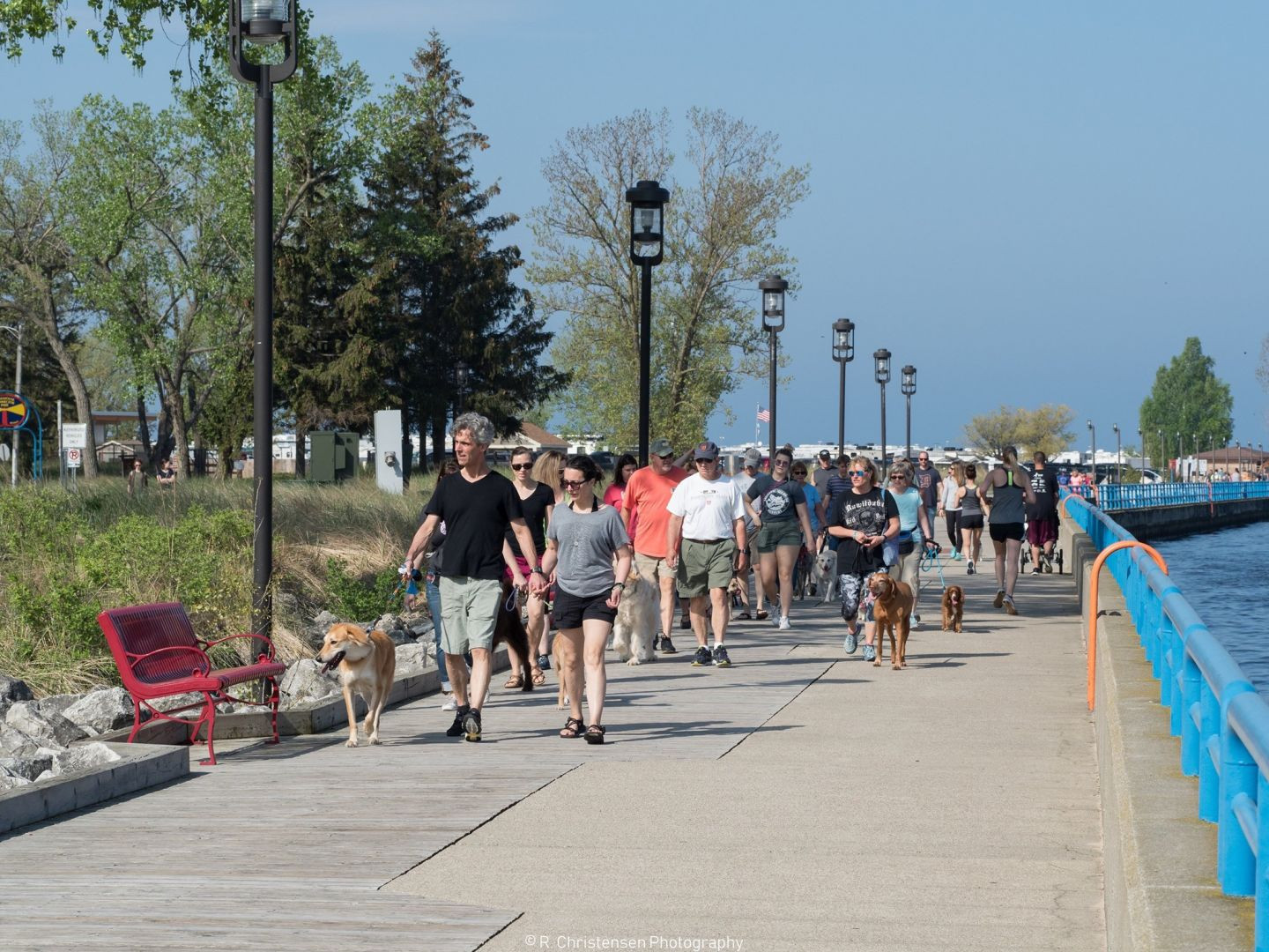 alt text: Dogs playing on the beach in Grand Haven