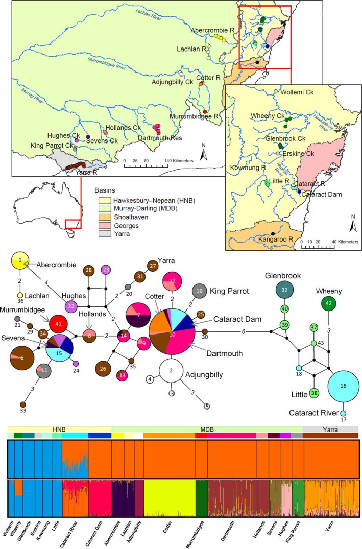 Geographic distribution of Macquarie perch