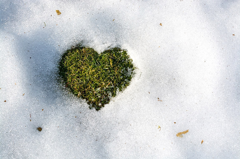 A heart-shaped cookie with the words &quot;I love you&quot; written in Swedish